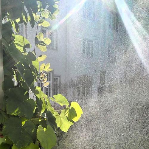 Sprühnebel in einem Hof